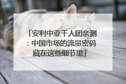 安利中亚千人团亲测：中国市场的流量密码 藏在这些细节里